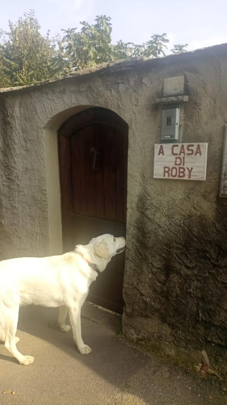 A Casa Di Roby Hotel Pinerolo Exterior photo